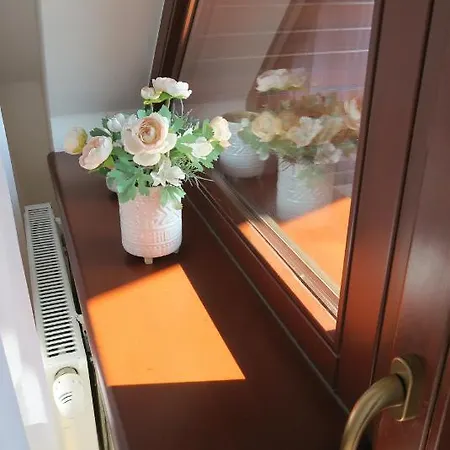 Auris Vel'ka Lomnica