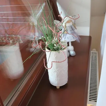 Auris * ולקה לומניקה