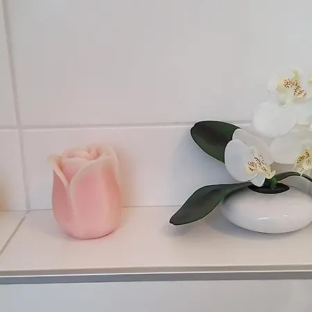 Apartmán Auris Vel'ka Lomnica