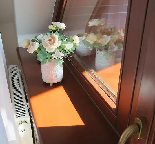 Auris Vel'ka Lomnica